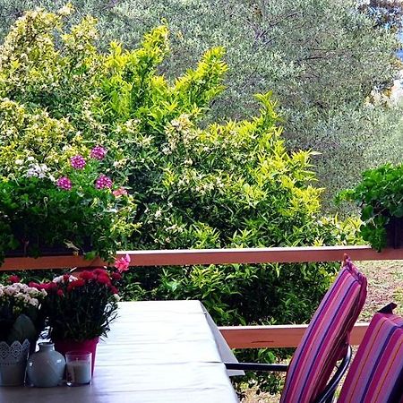 Apartman Rabatin Sveti Filip i Jakov Exteriér fotografie