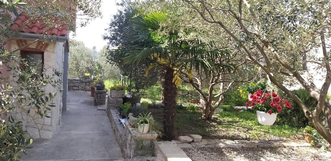 Apartman Rabatin Sveti Filip i Jakov Exteriér fotografie