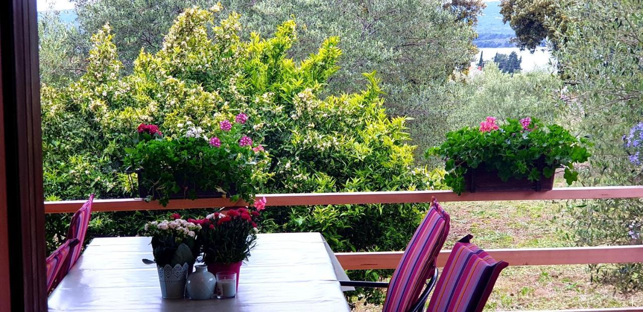Apartman Rabatin Sveti Filip i Jakov Exteriér fotografie